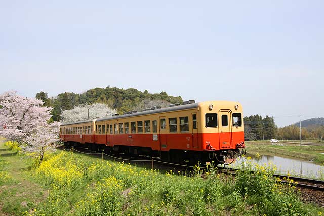 沿線風景で鉄道ファンに人気の高い千葉県の小湊鉄道も、鉄道事業は厳しいと聞く
