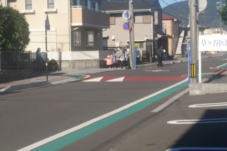 幼児と大人がスムーズ横断歩道を渡るところの写真です。