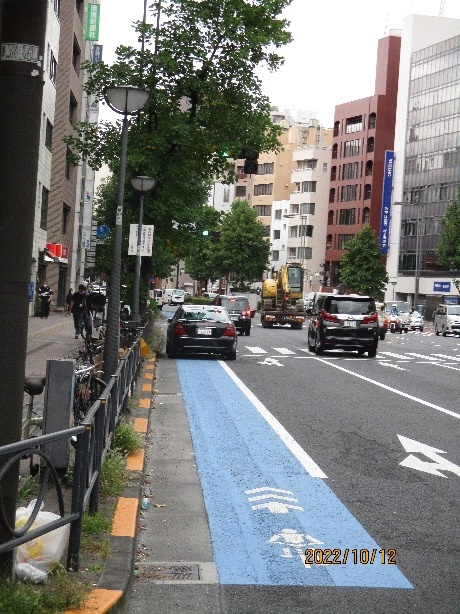 1台の乗用車が自転車レーンを塞いでいるところの写真です。