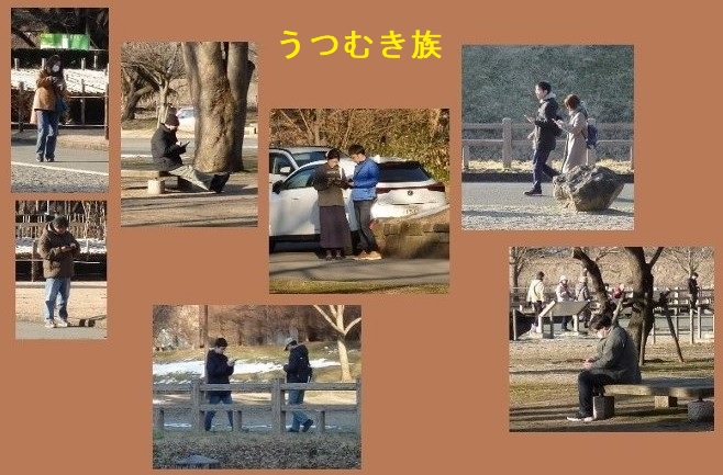 「うつむき族」公園でうつむいてスマホに釘付けの若者たちの写真です。