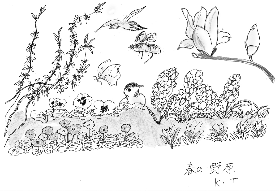 小鳥や虫たちや花々を描いた手書きのイラストです。